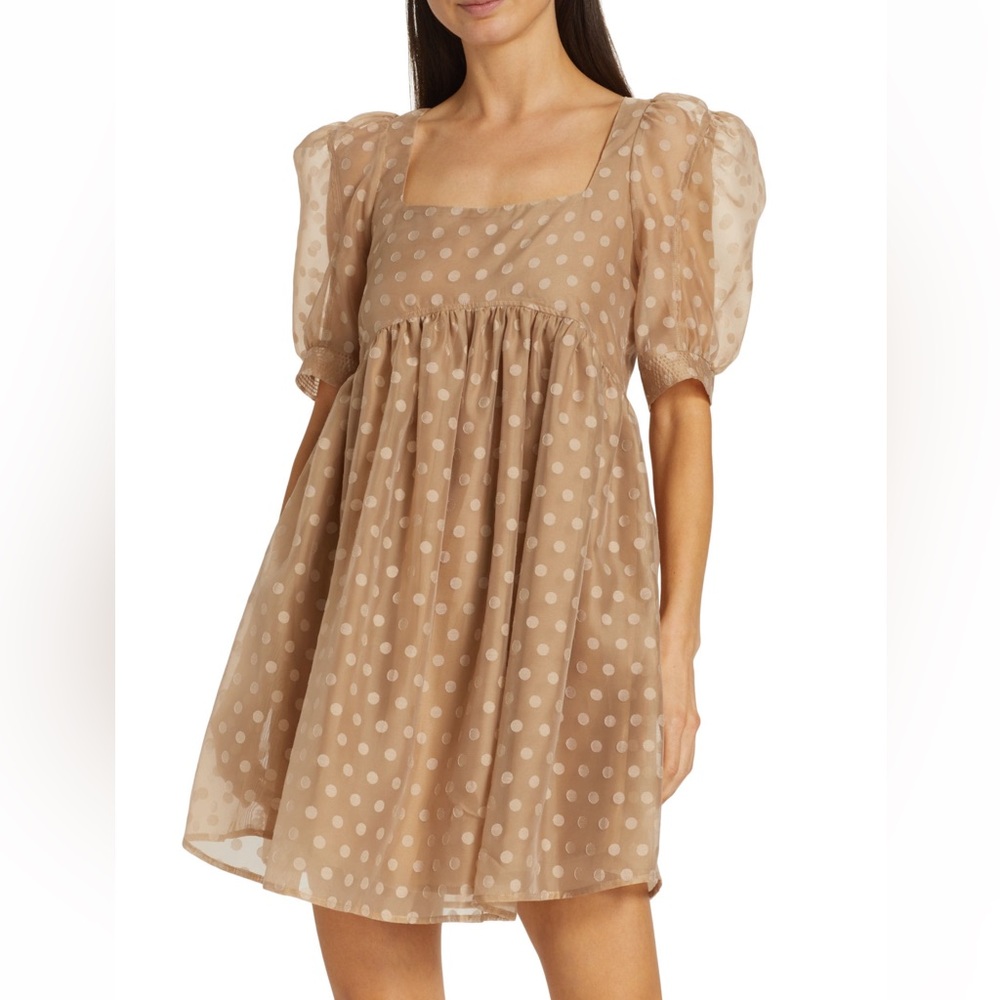 EN SAISON Desiree Organza Minidress - Small